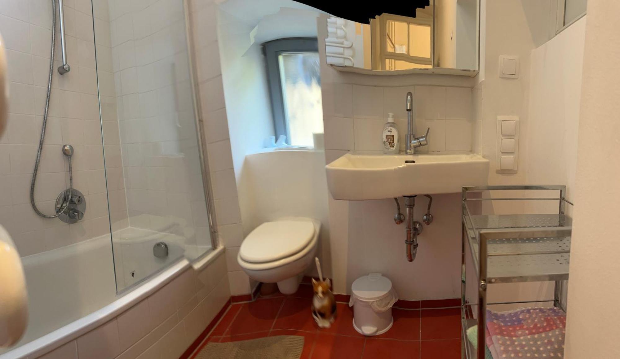 Urban Apartement, Internet, Veranda, Zentrum Graz Eksteriør billede